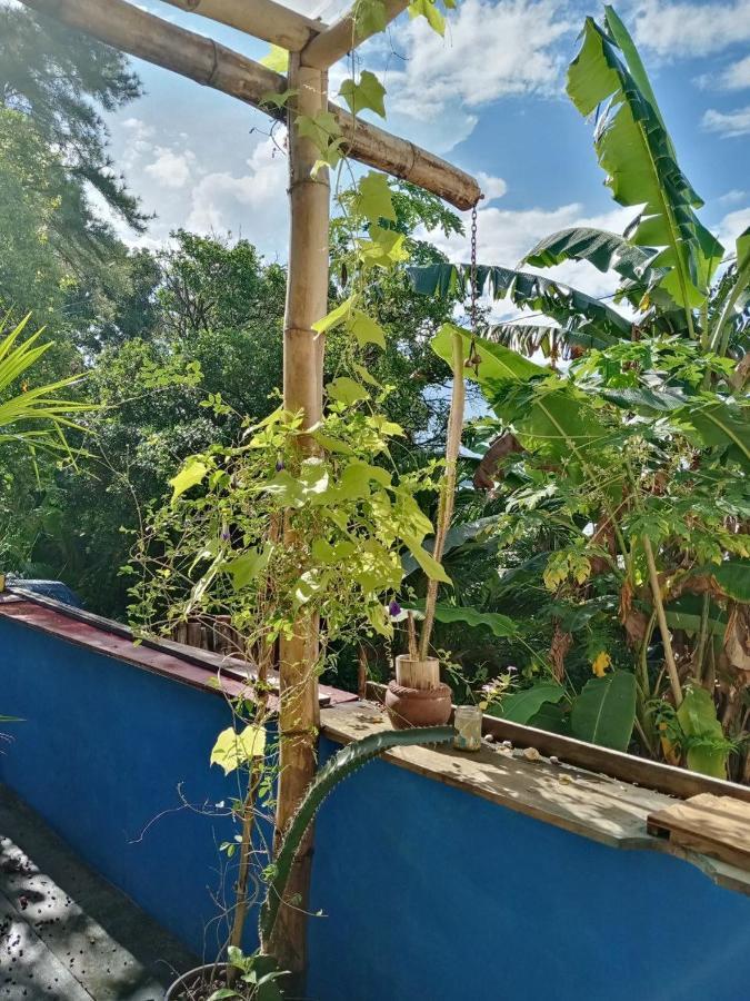 Meanwhile In Veracruz Exterior photo