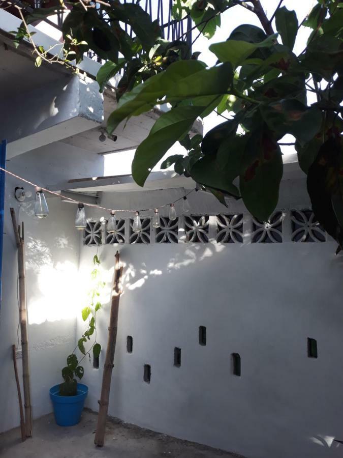 Meanwhile In Veracruz Exterior photo